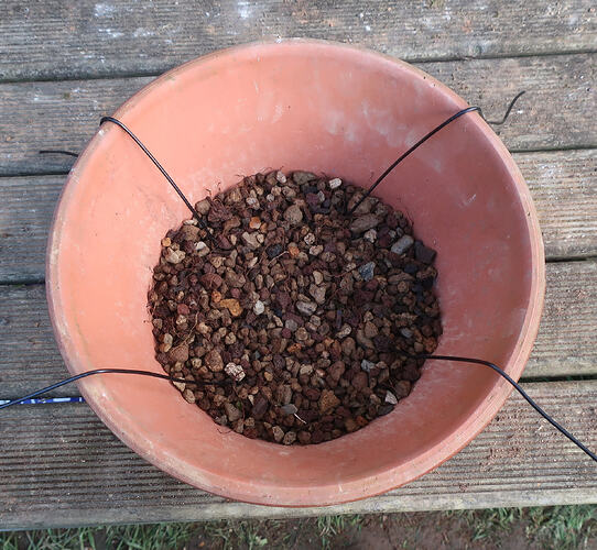 pin flexible 2026 03 04 (9)