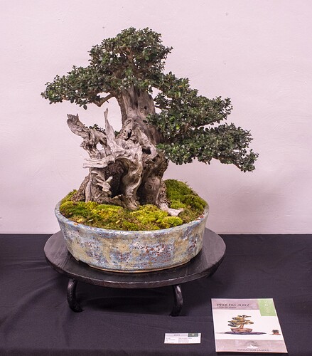 IMGP3028