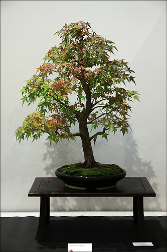 2024.10.20(24)copie1