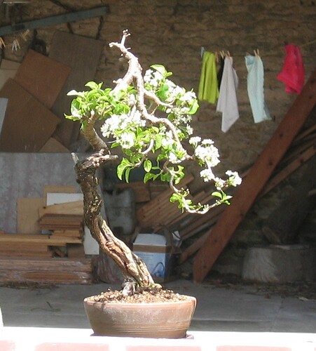 ste lucie 2013 05 09