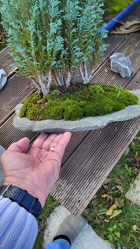 20251128_154355_resized