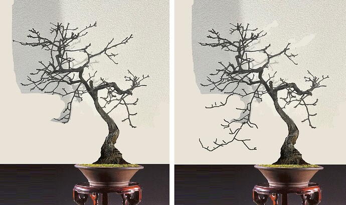 ___________DSCN01-1virt3