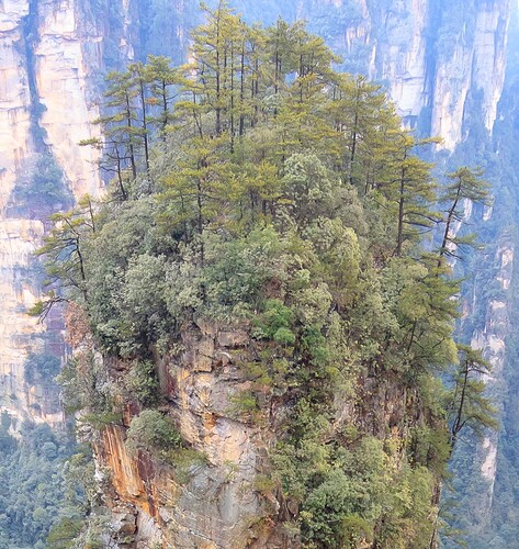 Zhangjiajie crop 50