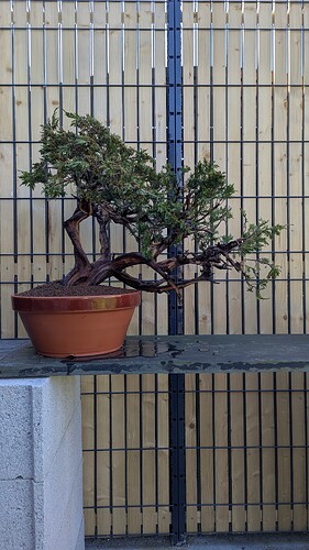 PXL_20250408_140417726