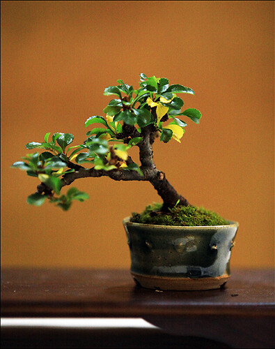 2025.05.25(25)copie1