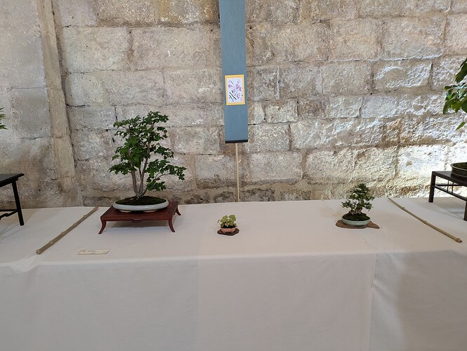 PXL_20250525_145348269