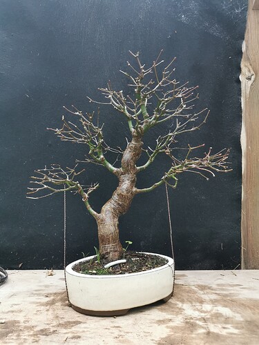 2025-11-23-15-59-15-992