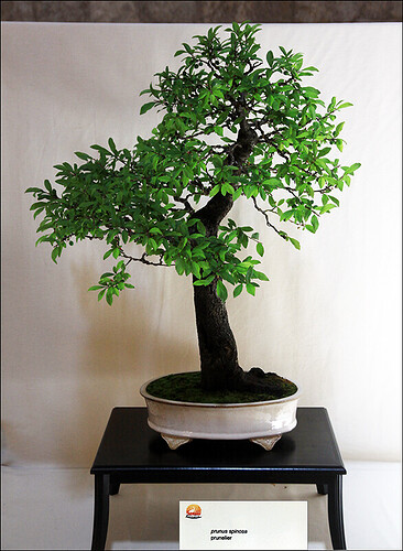 2025.05.24(65)copie1