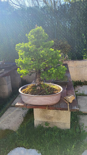 20260415_174549_resized