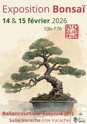 expo bonsai 14 février 2026 Ballancourt sur Essonne