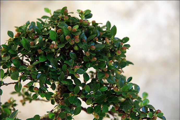 2025.05.24(102)copie1