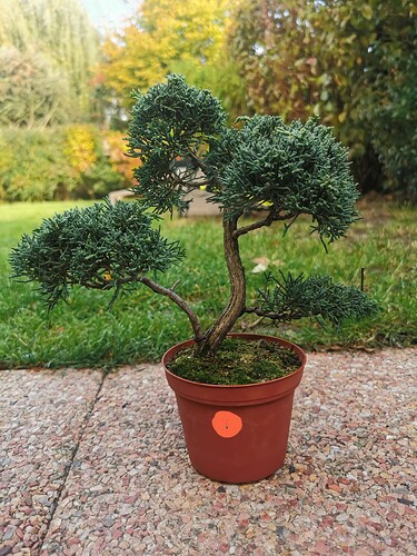 IMG_20251009_095920_edit_51420673940069