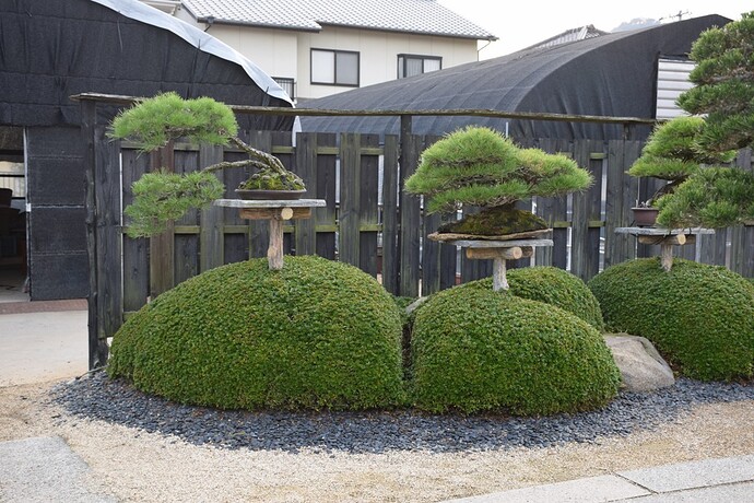 DSC_0139