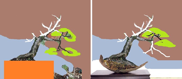 ___________DSCN01virt5