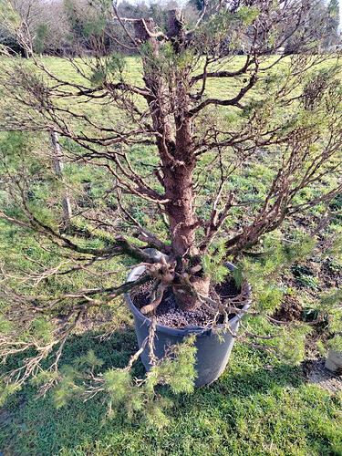 IMG_20260122_150402328 - Copie