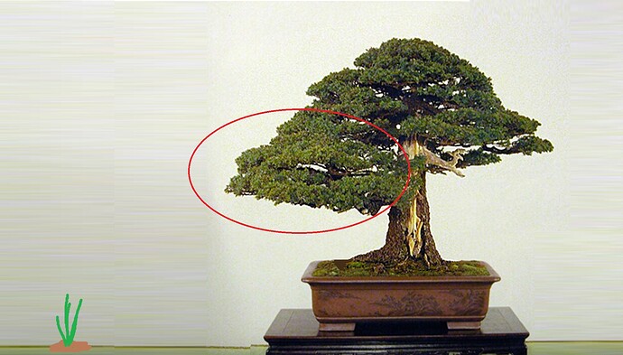 ___________DSCN01-1virt3