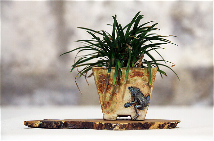 2025.05.24(35)copie1