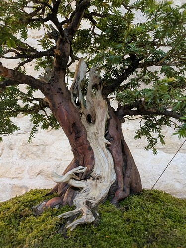 PXL_20250525_145142510