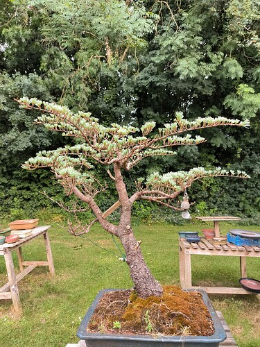 9d46bee0-42f7-11f0-88eb-f7ed4926da17