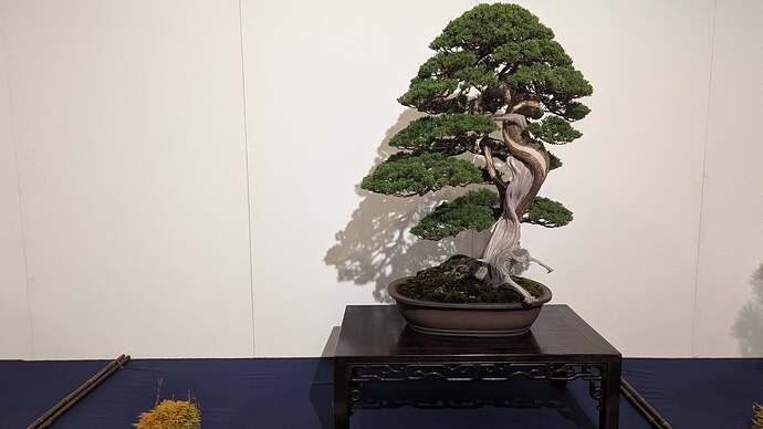 629202786_1549004970566482_4993275693460589485_n