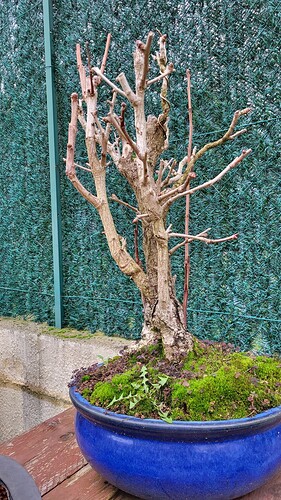 20251224_155618_resized