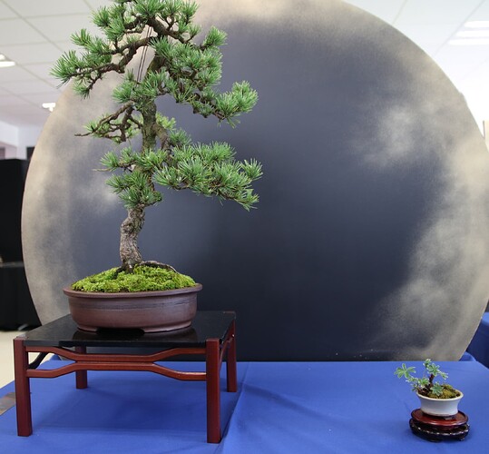 2025-05 Marcoussis (30)