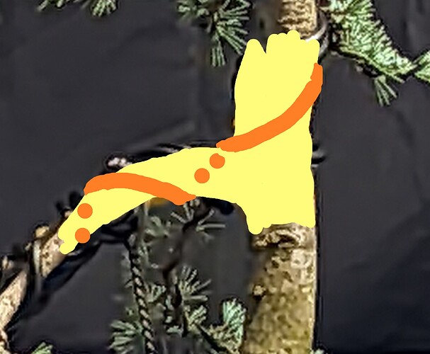 ___________DSCN01virt1