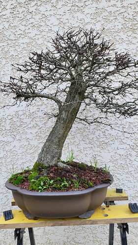 20251224_155344_resized