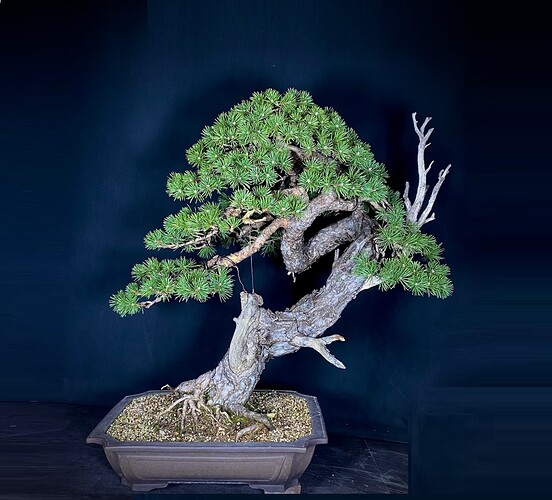 ___________DSCN01-1virt0