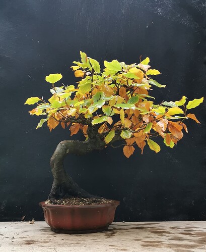 2025-11-23-15-59-57-931