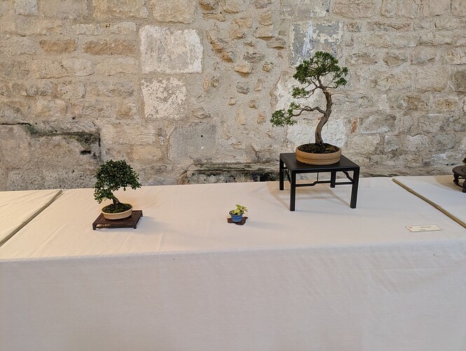 PXL_20250525_145225822