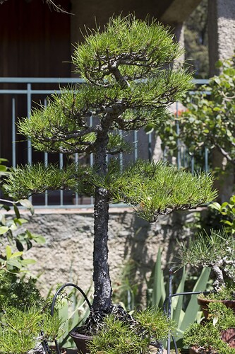 483226527_1372730677402133_7028510426500365522_n