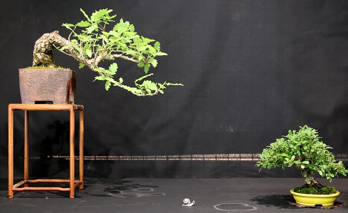 2025-05 Marcoussis (17)