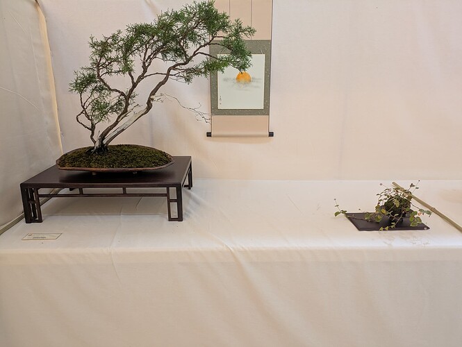 PXL_20250524_153151806