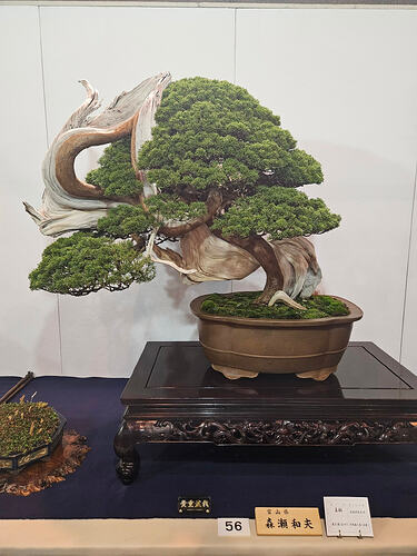 630908731_3344379022394159_3560707250876700529_n