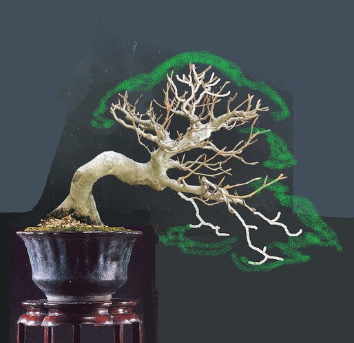 ___________DSCN132virt6