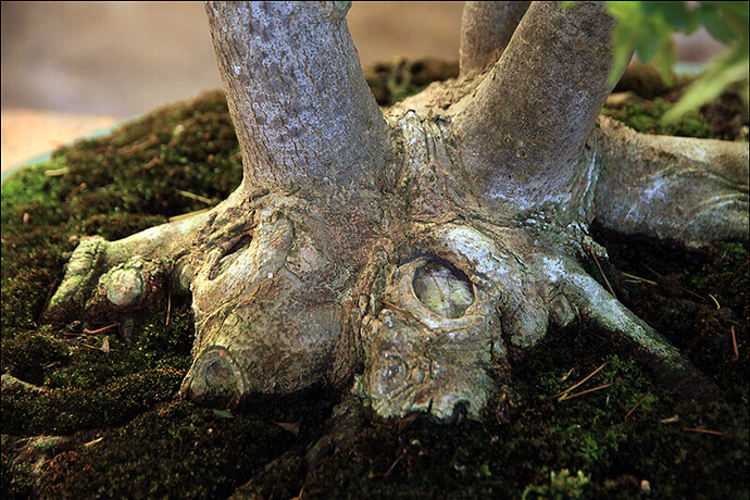 2025.05.24(100)copie1