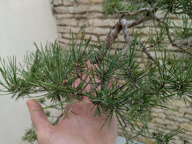 PXL_20250727_170410107