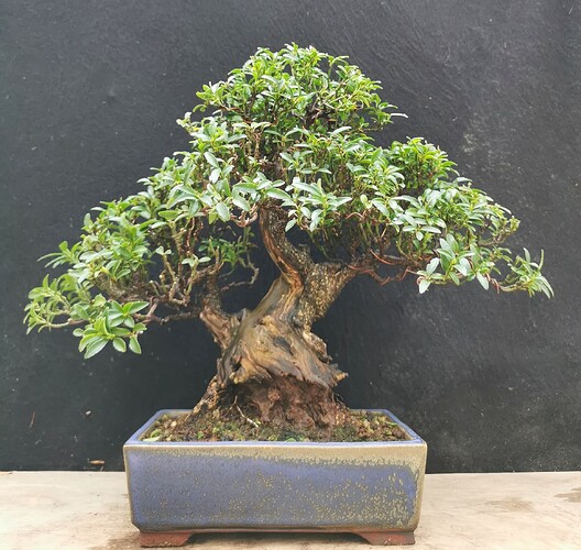 2025-12-16-15-16-34-769