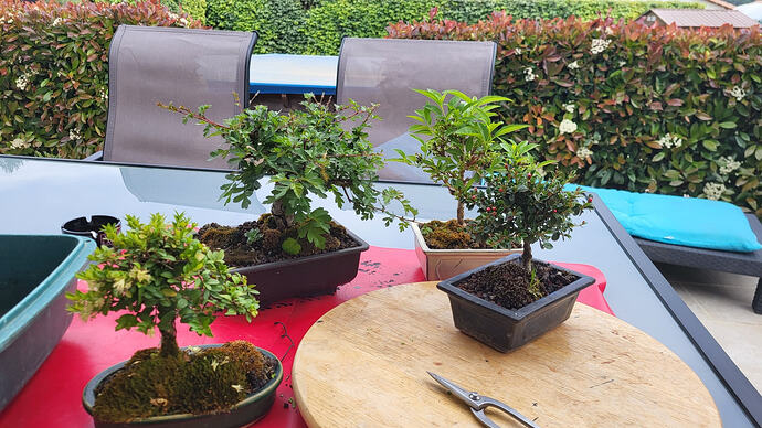 20260420_153819_resized