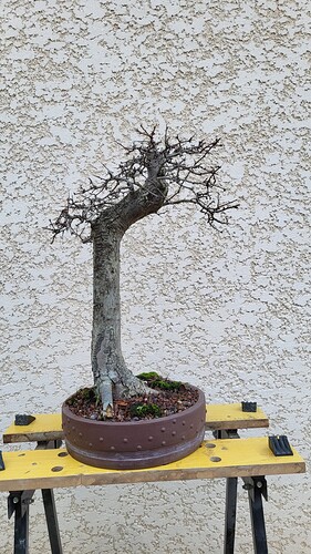 20251224_155543_resized