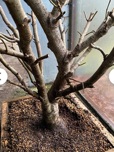 Screenshot_20260203_120317_com.android.chrome_edit_9874253515159