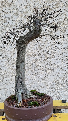 20251224_155547_resized