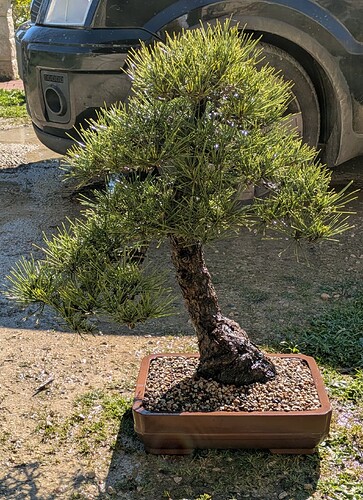 PXL_20250318_101913912.MP~2