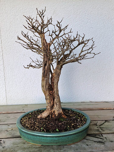 866b1831752206da71e8c5de1cbacf0f65304a35