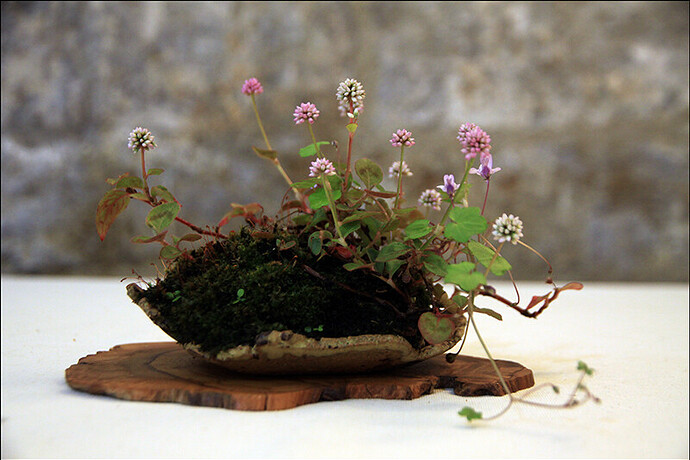 2025.05.24(28)copie1