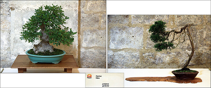 2025.05.24(montage25-27)1