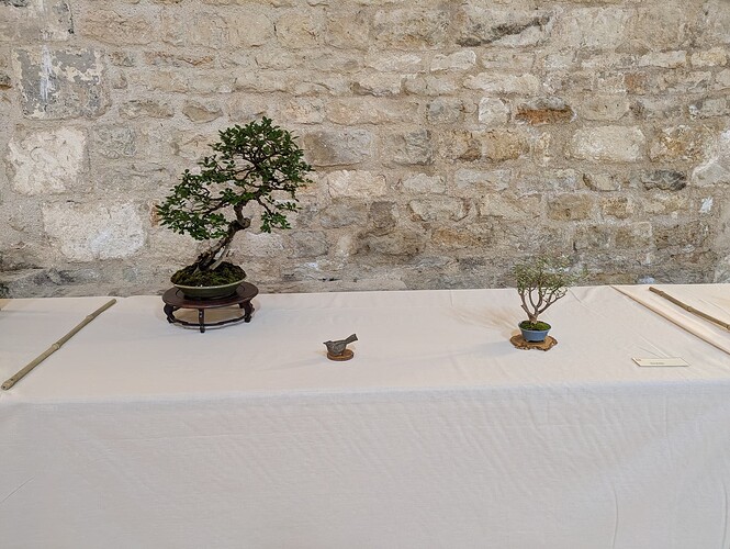 PXL_20250525_145233575