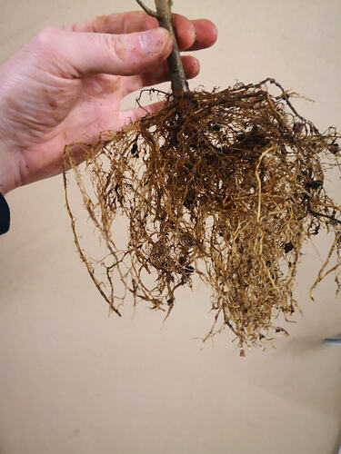 received_2870234843219180