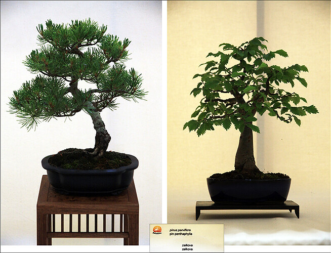 2025.05.24(montage48-51)1